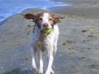 The Beach & a Ball – Touché's favorites